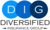 DIG Logo